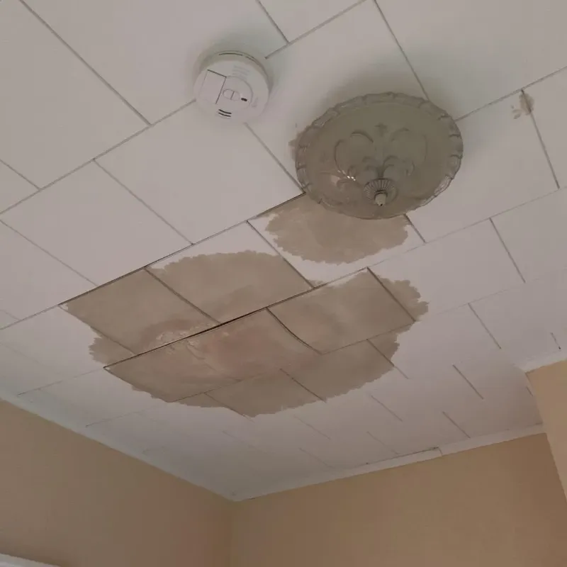 Ceiling Water Damage Repair in Belford, NJ